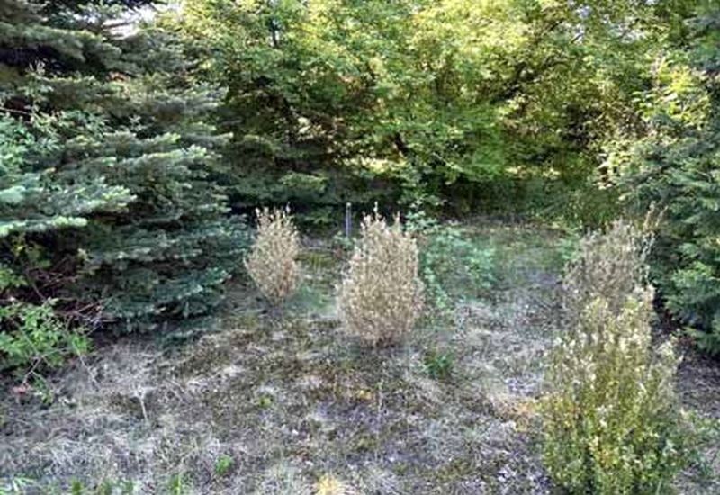 brandenburg 8 K 3-24 August-Bebel-Straße 5, 15713 Königs Wusterhausen OT Wernsdorf