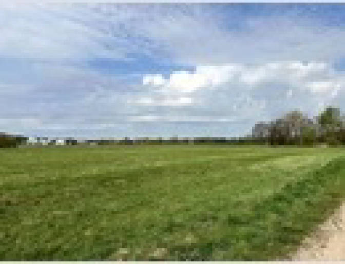 Land-/Forstwirtschaft in , 15749 Mittenwalde - Bild 3