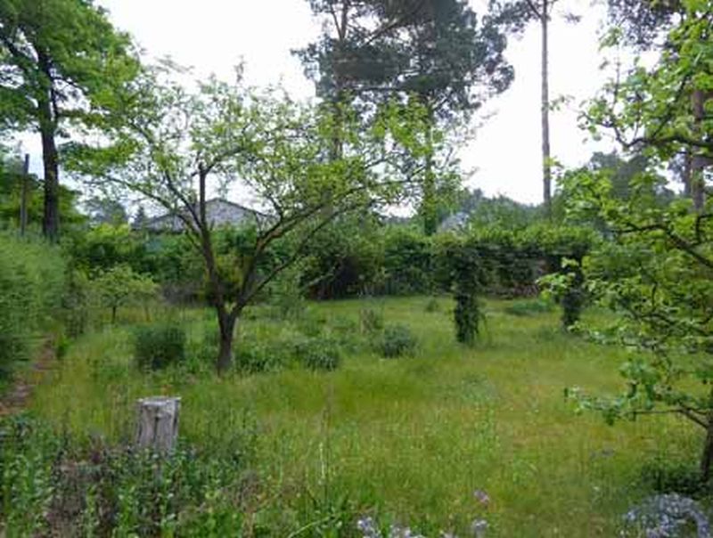 brandenburg 8 K 6-23 Prieroser Straße 14, 15741 Bestensee OT Pätz