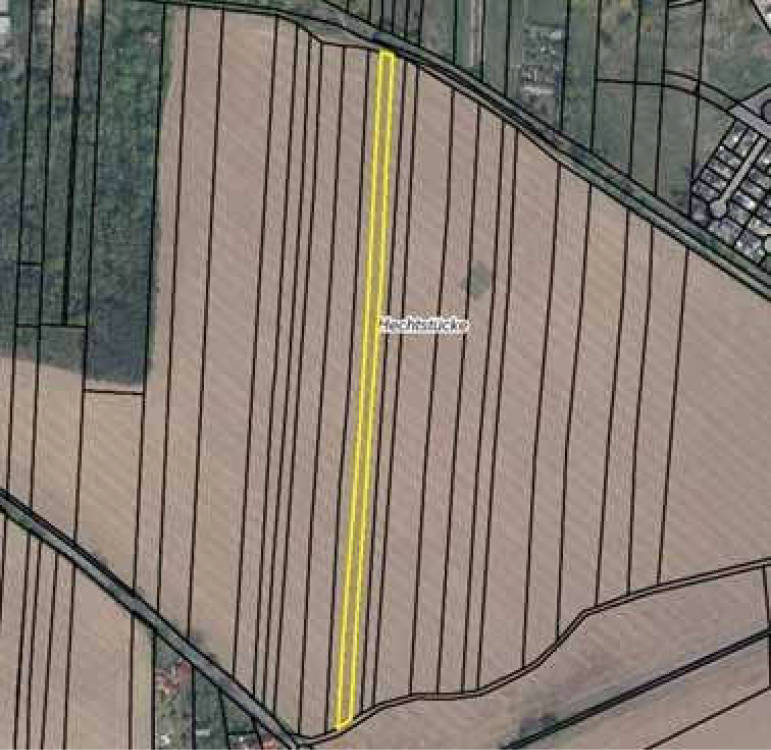 brandenburg 8 K 6/25 , 15749  7