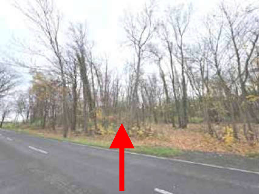 brandenburg 8 K 62/25 An der L40, 15749 Mittenwalde OT Brusendorf 4