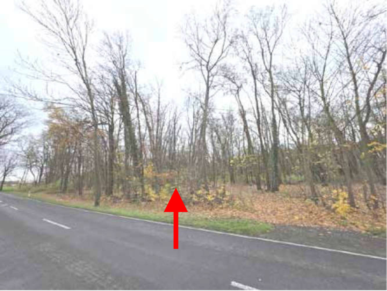 brandenburg 8 K 62/25 An der L40, 15749 Mittenwalde OT Brusendorf 5