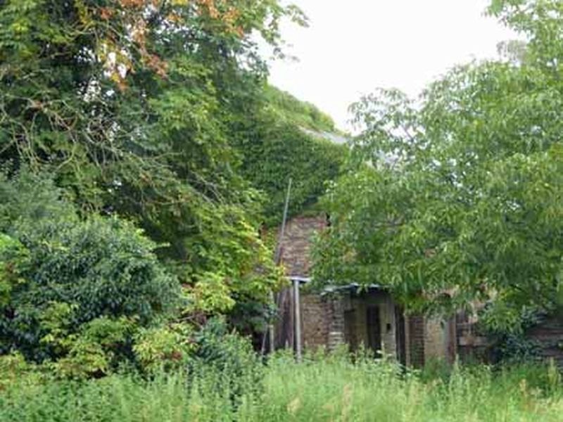 Einfamilienhaus in Dorfstraße 29, 12529 Schönefeld OT Waßmannsdorf - Bild 4