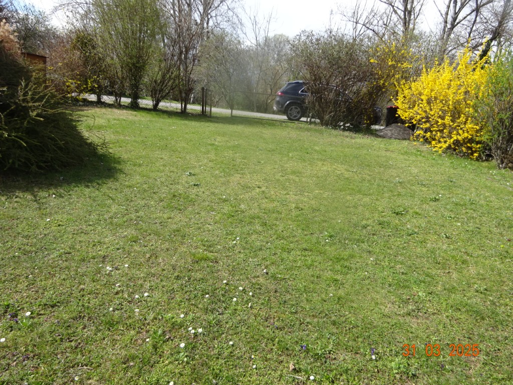 Sonstiges in Seeanlage Straße VI-04, 7201 Neudörfl - Bild 4