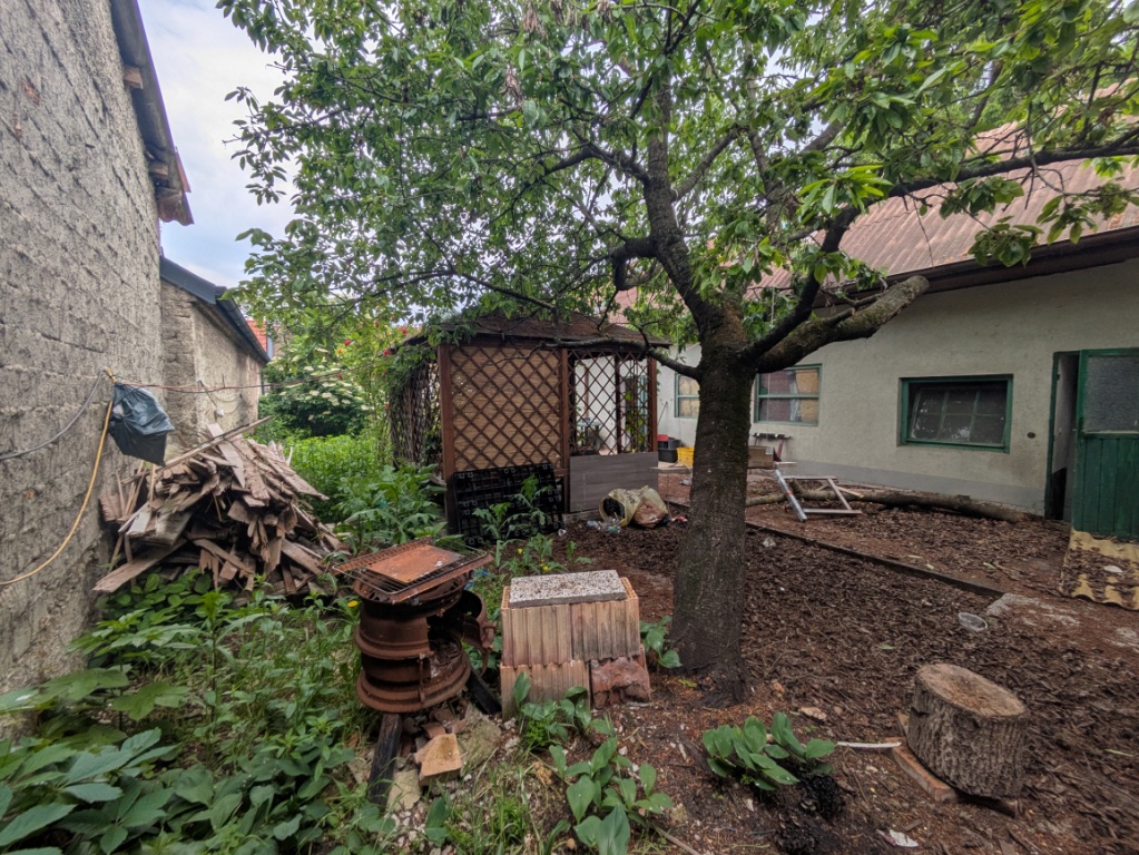 Einfamilienhäuser in Obere Hauptstraße 78, 7162 Tadten - Bild 4