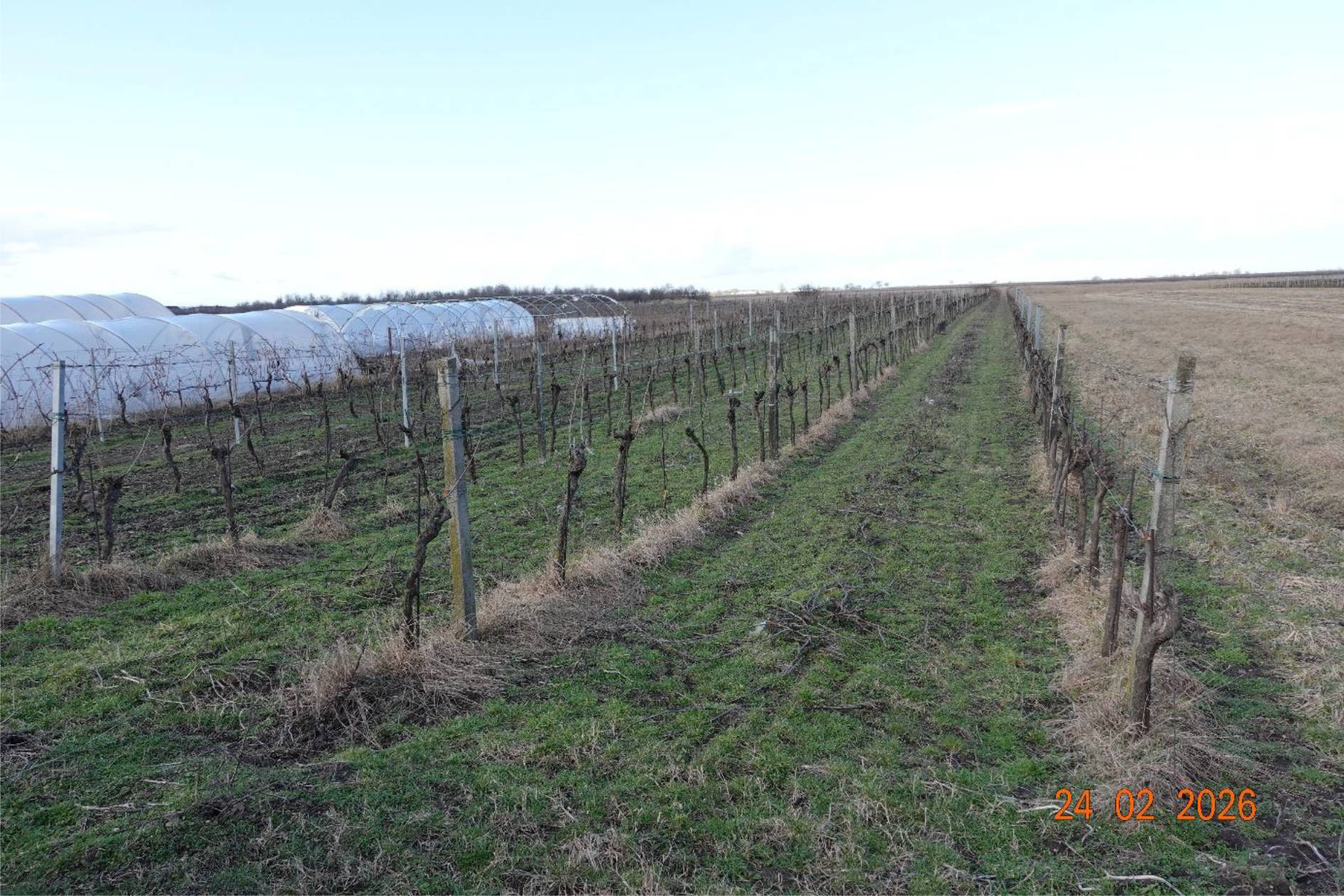 burgenland 4 E 37/25f 7142 Illmitz 6