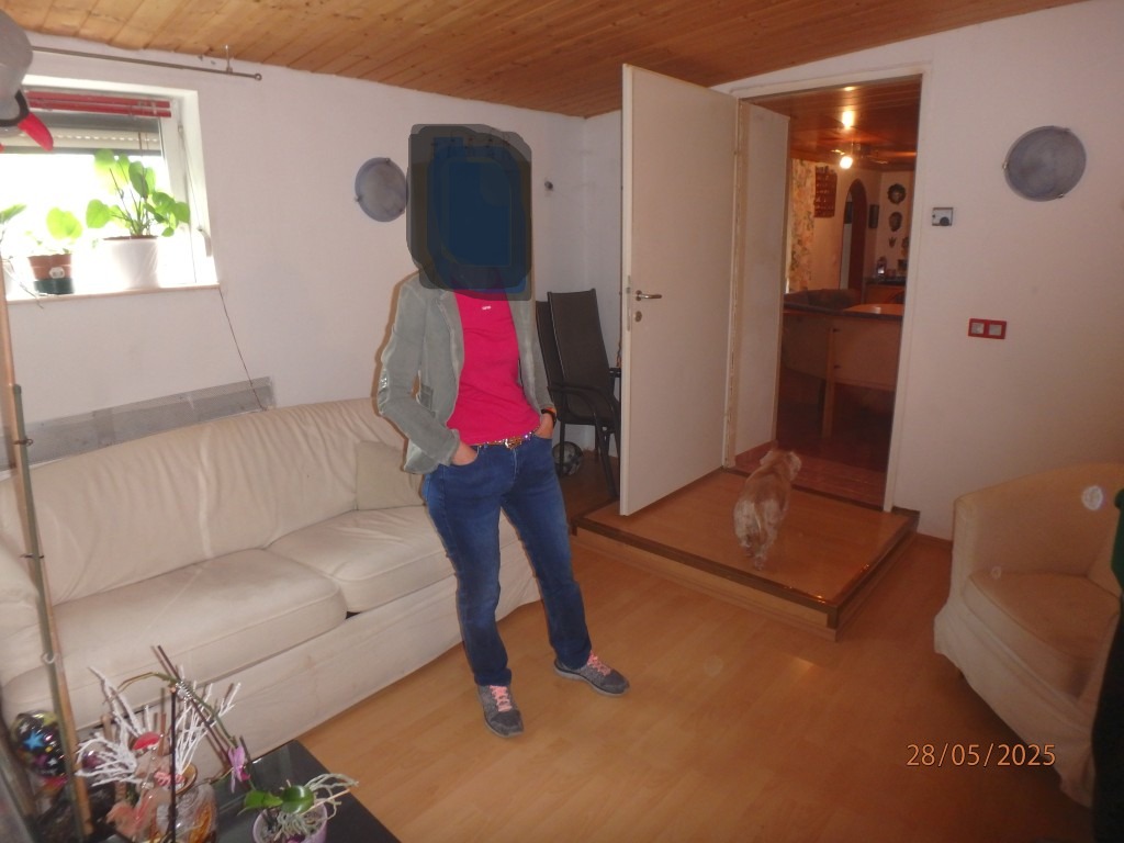 Einfamilienhäuser in Am Föhrenwald 8, 7053 Hornstein - Bild 2