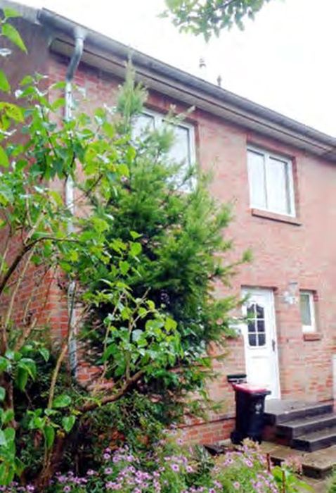 Einfamilienhaus in Halstenbeker Weg 87d, 22523 Hamburg - Bild 2
