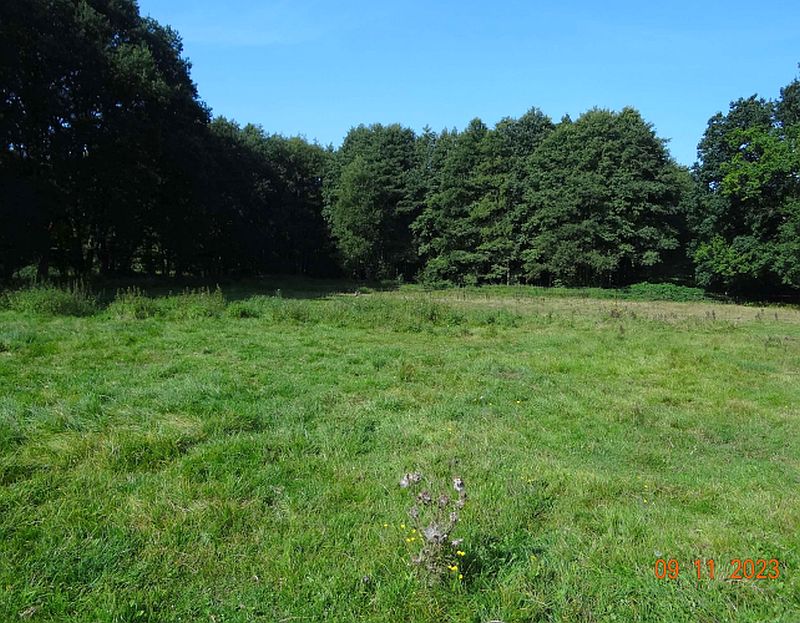 Land-/Forstwirtschaft in , 22045 Hamburg-Jenfeld - Bild 3