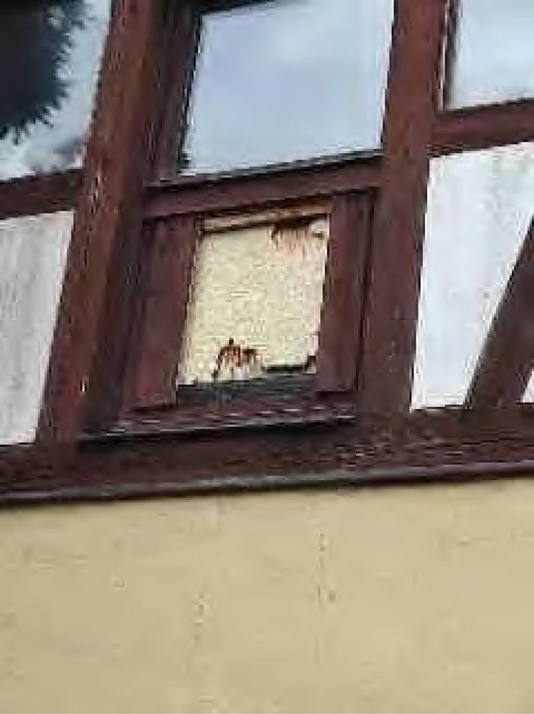 hessen 0003 K 0002/2025 Hansengasse 28, 69483 Wald-Michelbach, Ober-Schönmattenwag 18