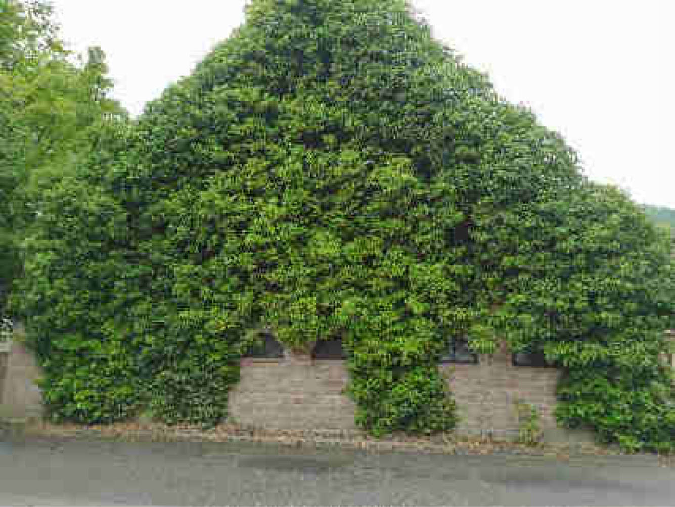 hessen 0003 K 0002/2025 Hansengasse 28, 69483 Wald-Michelbach, Ober-Schönmattenwag 8