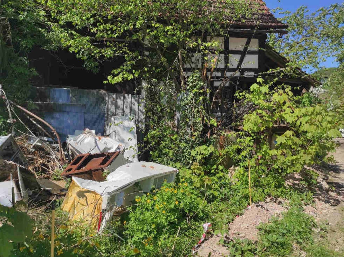 hessen 0003 K 0015/2024 Bachgasse 5, 64678 Lindenfels, Glattbach 6