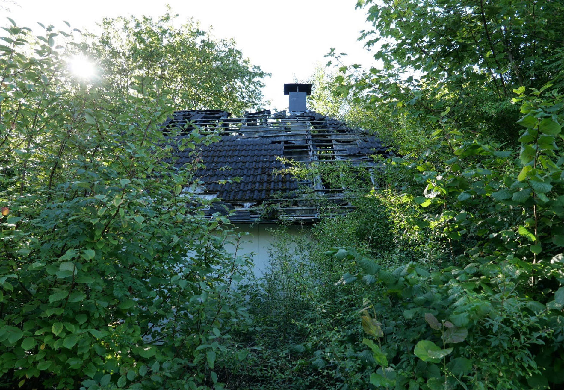 Sonstiges in Seepark (Feriendorf III) 88, 36275 Kirchheim, Reimboldshausen - Bild 4