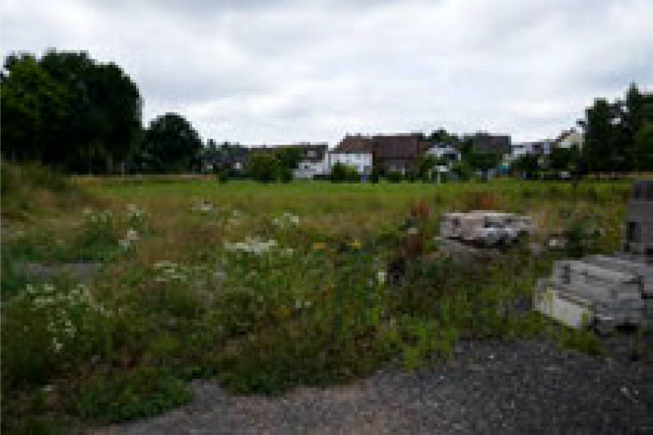 Einfamilienhaus, land- und forstwirtschaftlich genutztes Grundstück in Alte Landstraße 9, 36251 Ludwigsau, Rohrbach - Bild 2