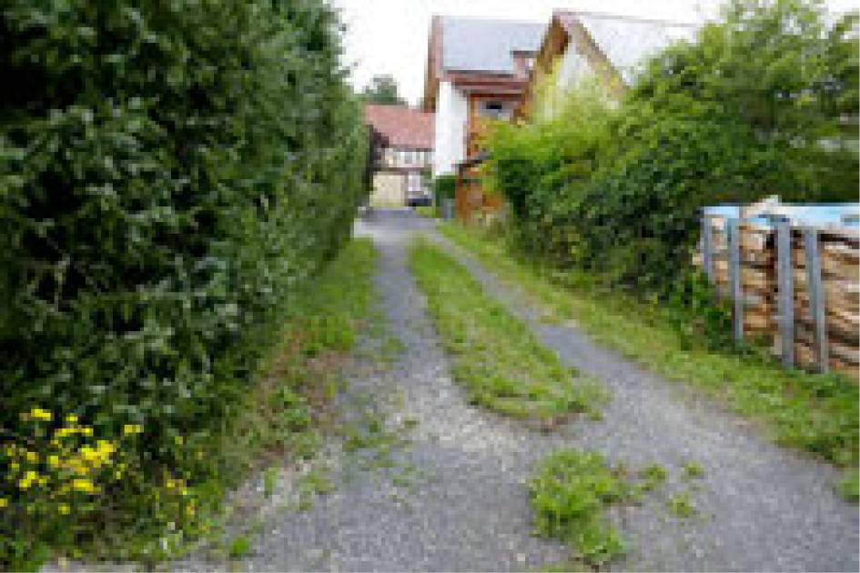 Einfamilienhaus, land- und forstwirtschaftlich genutztes Grundstück in Alte Landstraße 9, 36251 Ludwigsau, Rohrbach