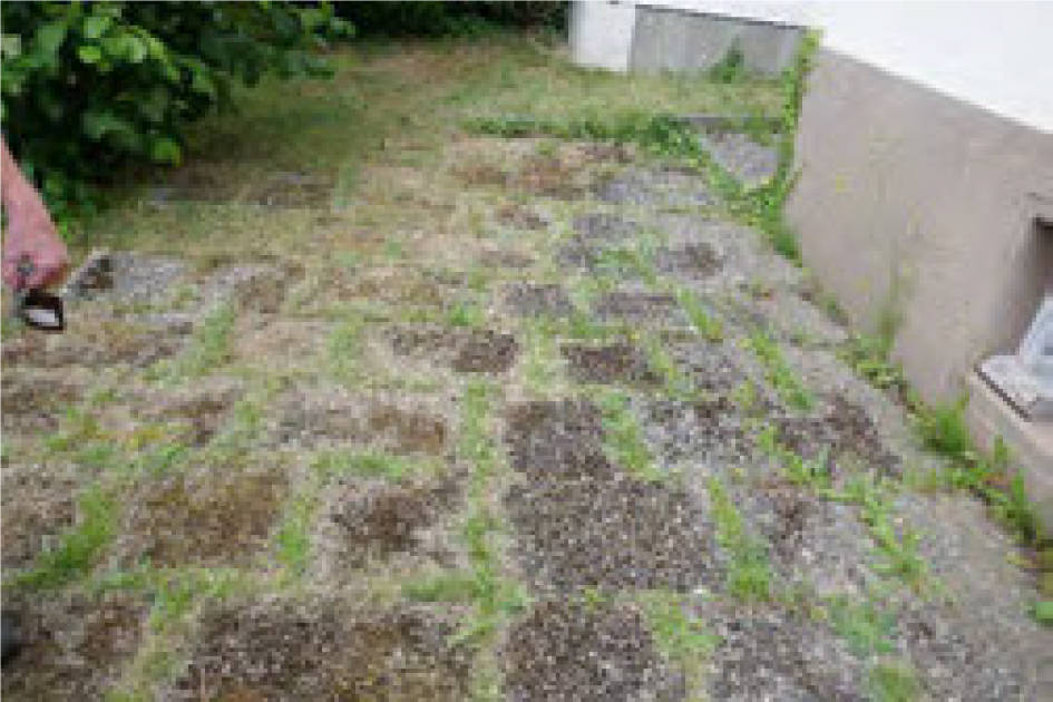 hessen 0004 K 0012/2025 Stettiner Straße 18, 36179 Bebra 23