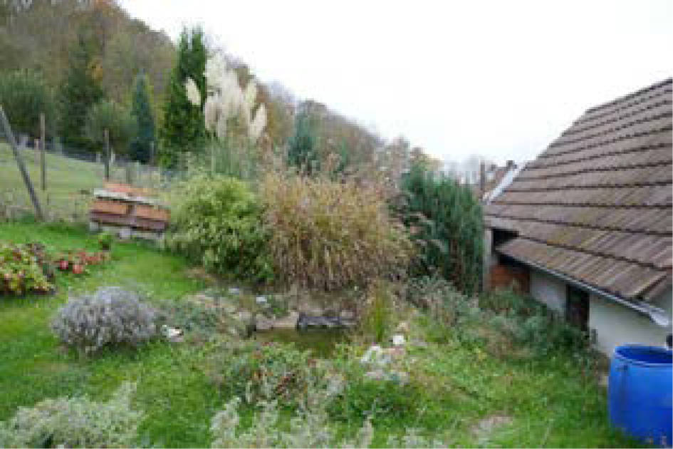 hessen 0004 K 0037/2024 Königsberger Straße 14, 36199 Rotenburg a. d. Fulda 25