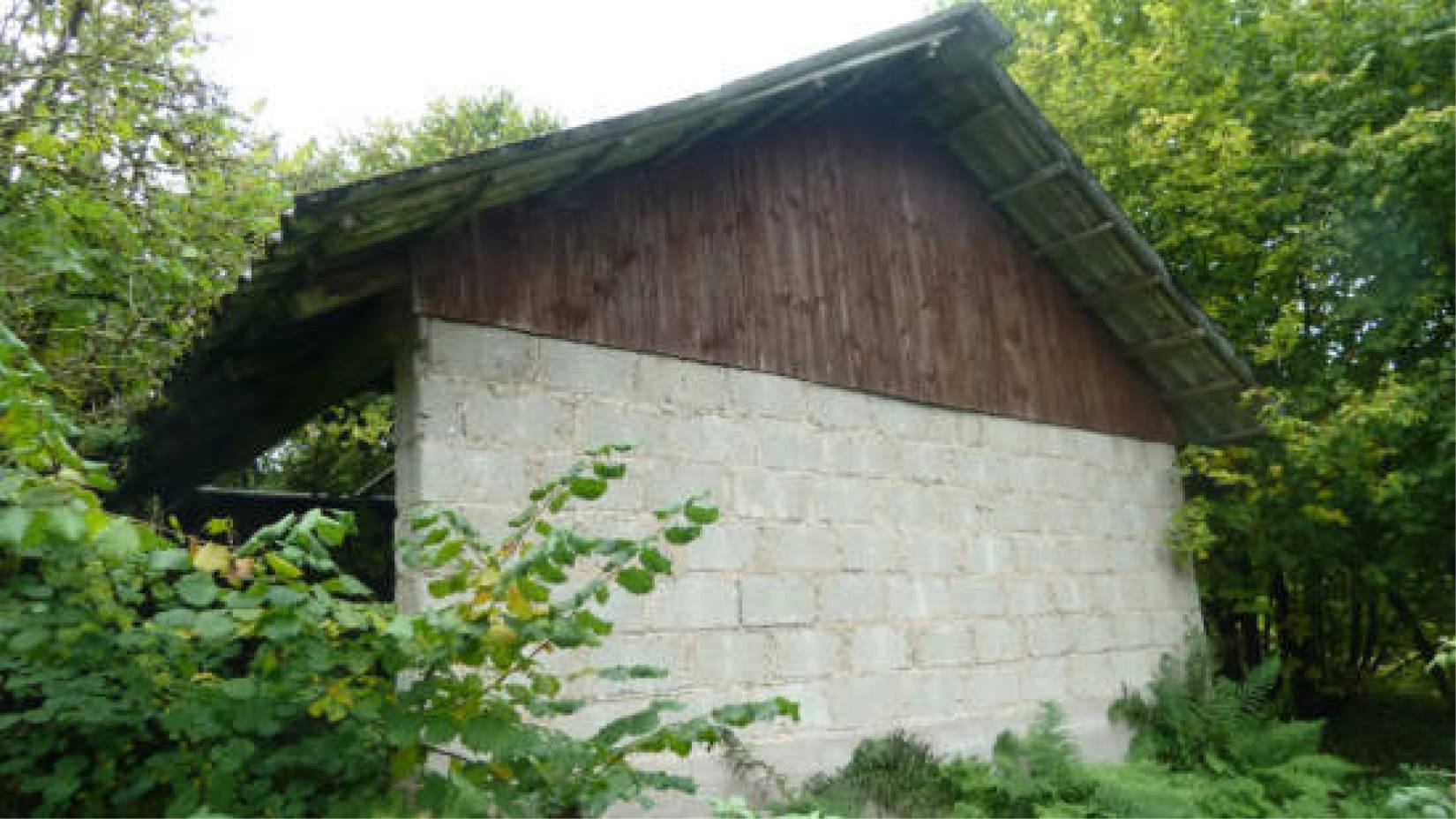 hessen 0004 K 0051/2024 Hof Emmerichsrode 4, 36251 Ludwigsau, Oberthalhausen 11
