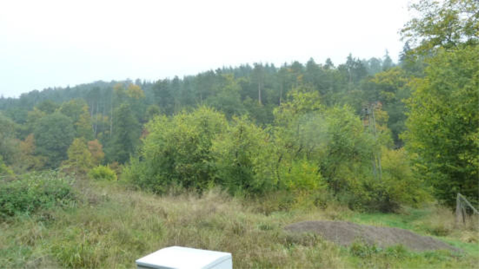 hessen 0004 K 0051/2024 Hof Emmerichsrode 4, 36251 Ludwigsau, Oberthalhausen 24