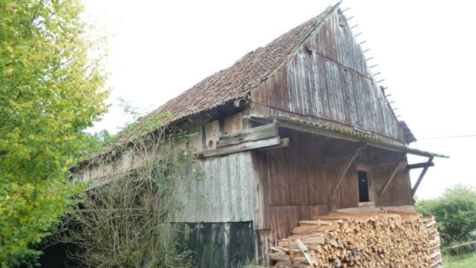 hessen 0004 K 0051/2024 Hof Emmerichsrode 4, 36251 Ludwigsau, Oberthalhausen 6