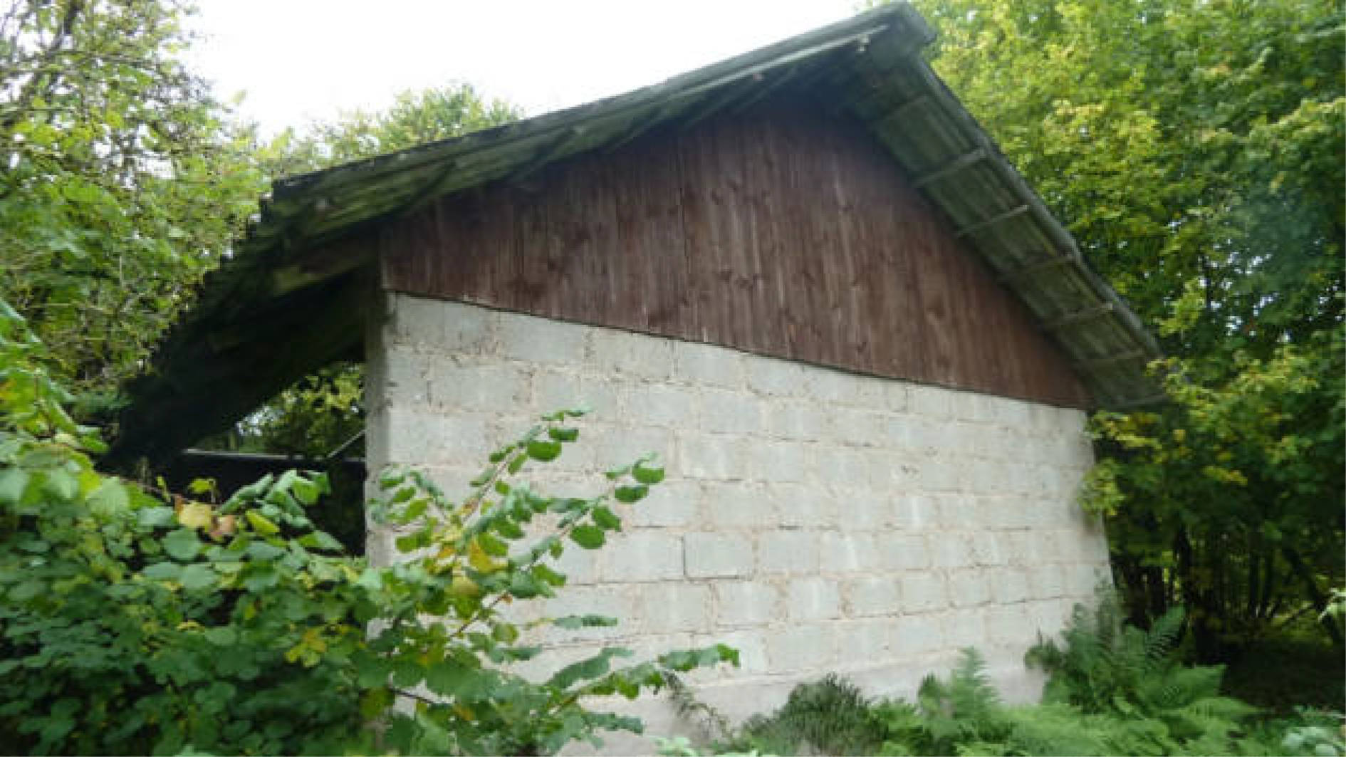 hessen 0004 K 0051/2024 Hof Emmerichsrode 4, 36251 Ludwigsau, Oberthalhausen 13