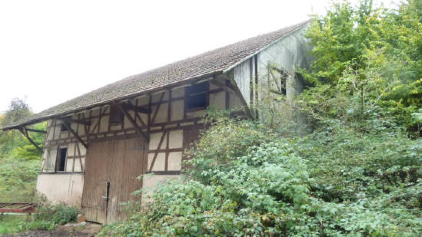 hessen 0004 K 0051/2024 Hof Emmerichsrode 4, 36251 Ludwigsau, Oberthalhausen 4
