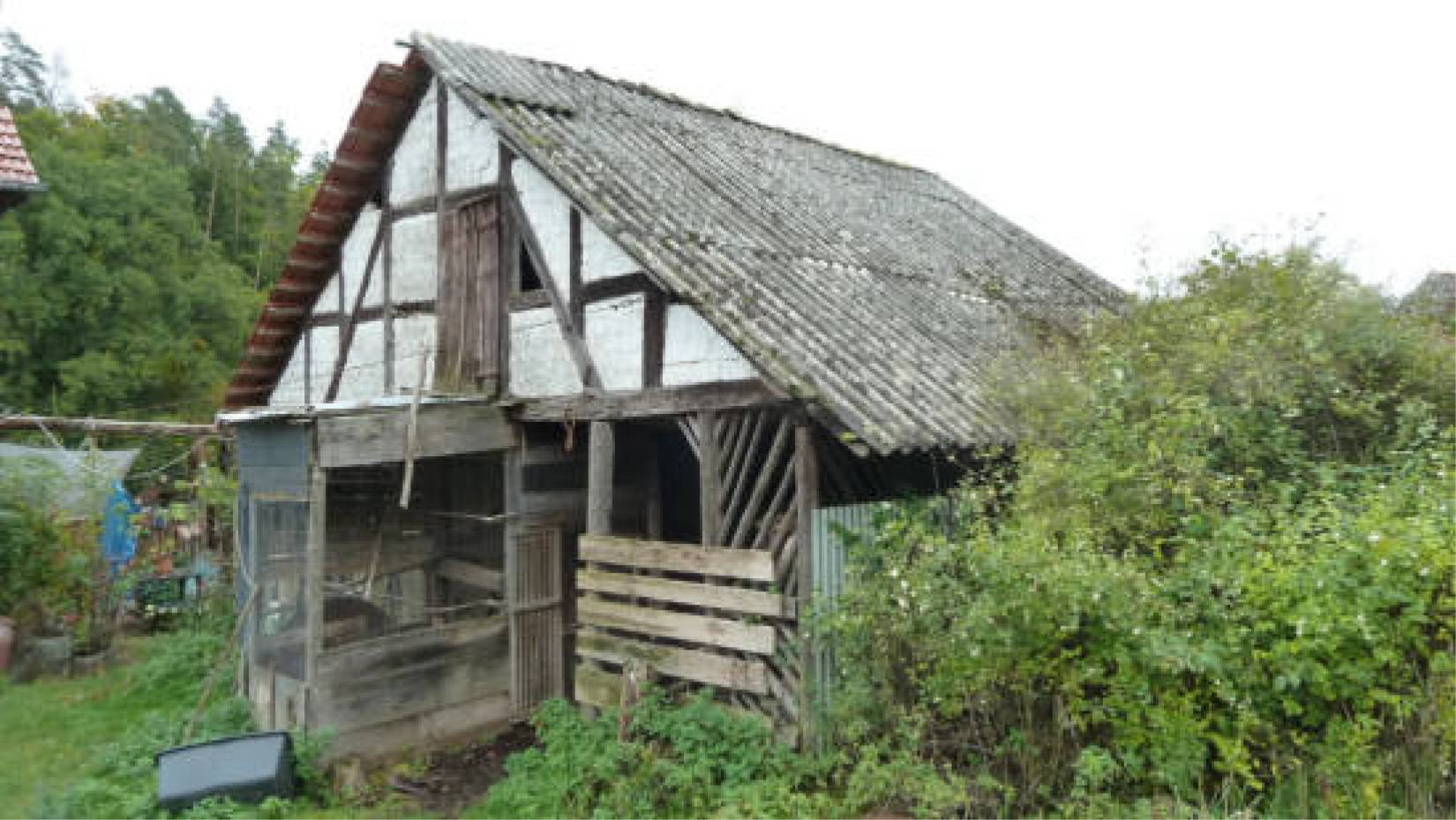 hessen 0004 K 0051/2024 Hof Emmerichsrode 4, 36251 Ludwigsau, Oberthalhausen 19