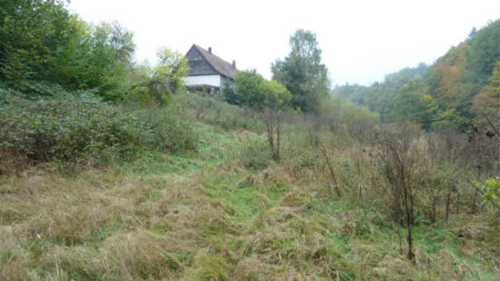hessen 0004 K 0051/2024 Hof Emmerichsrode 4, 36251 Ludwigsau, Oberthalhausen 12