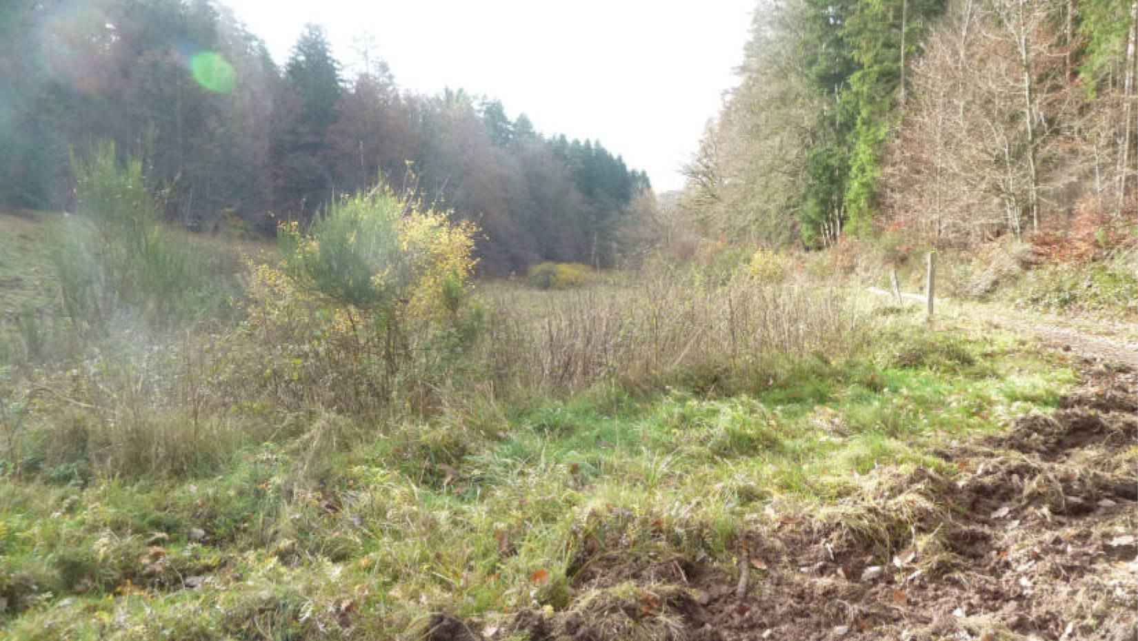 hessen 0004 K 0057/2024 Im Helmersbach, 36251 Ludwigsau, Niederthalhausen 6