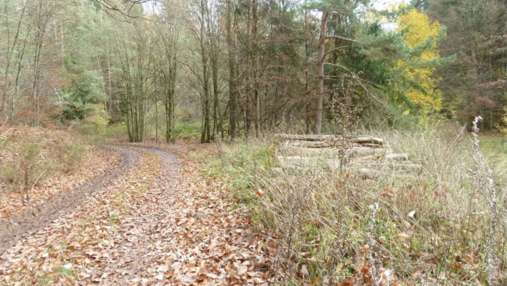 hessen 0004 K 0057/2024 Im Helmersbach, 36251 Ludwigsau, Niederthalhausen 2