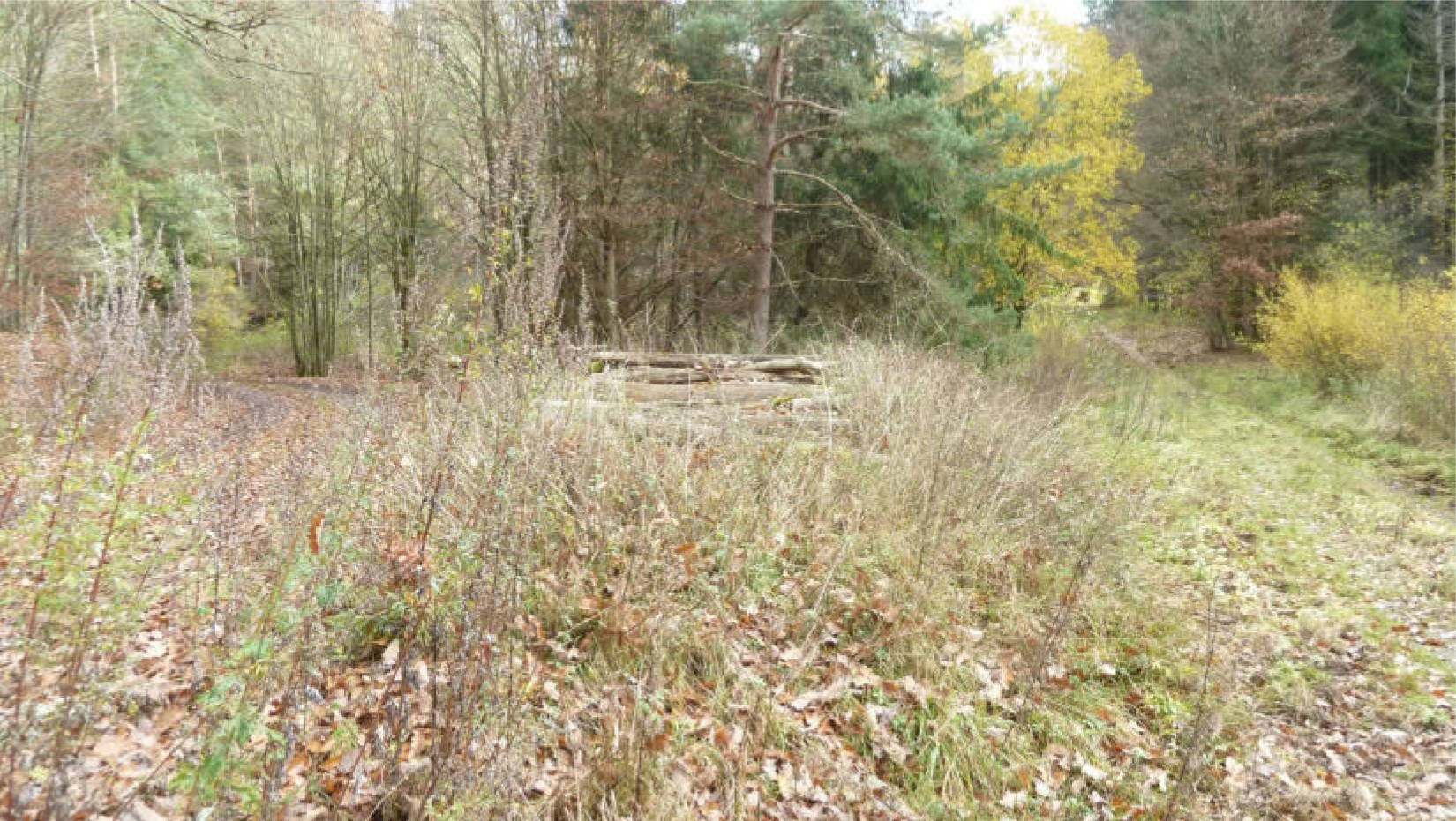 hessen 0004 K 0057/2024 Im Helmersbach, 36251 Ludwigsau, Niederthalhausen 4