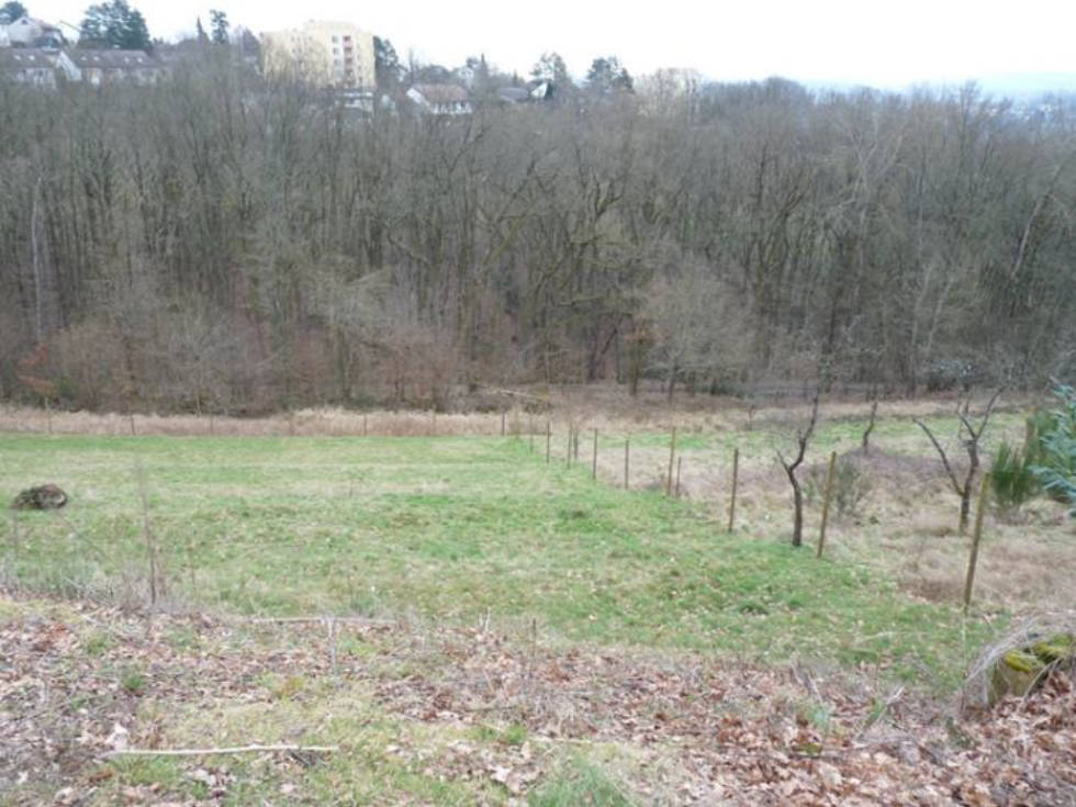 Hessen 0005K0048/2024 Spaakstraße 15, 36039 Fulda 1