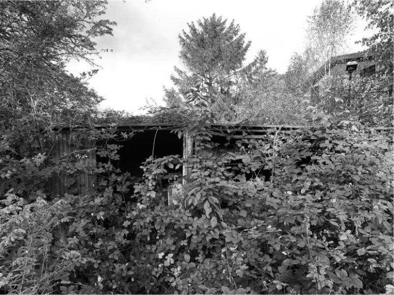 hessen 0006K0016-2023 Hinter dem Stellberge/Caßdorfer Weg 42, 34576 Homberg (Efze)