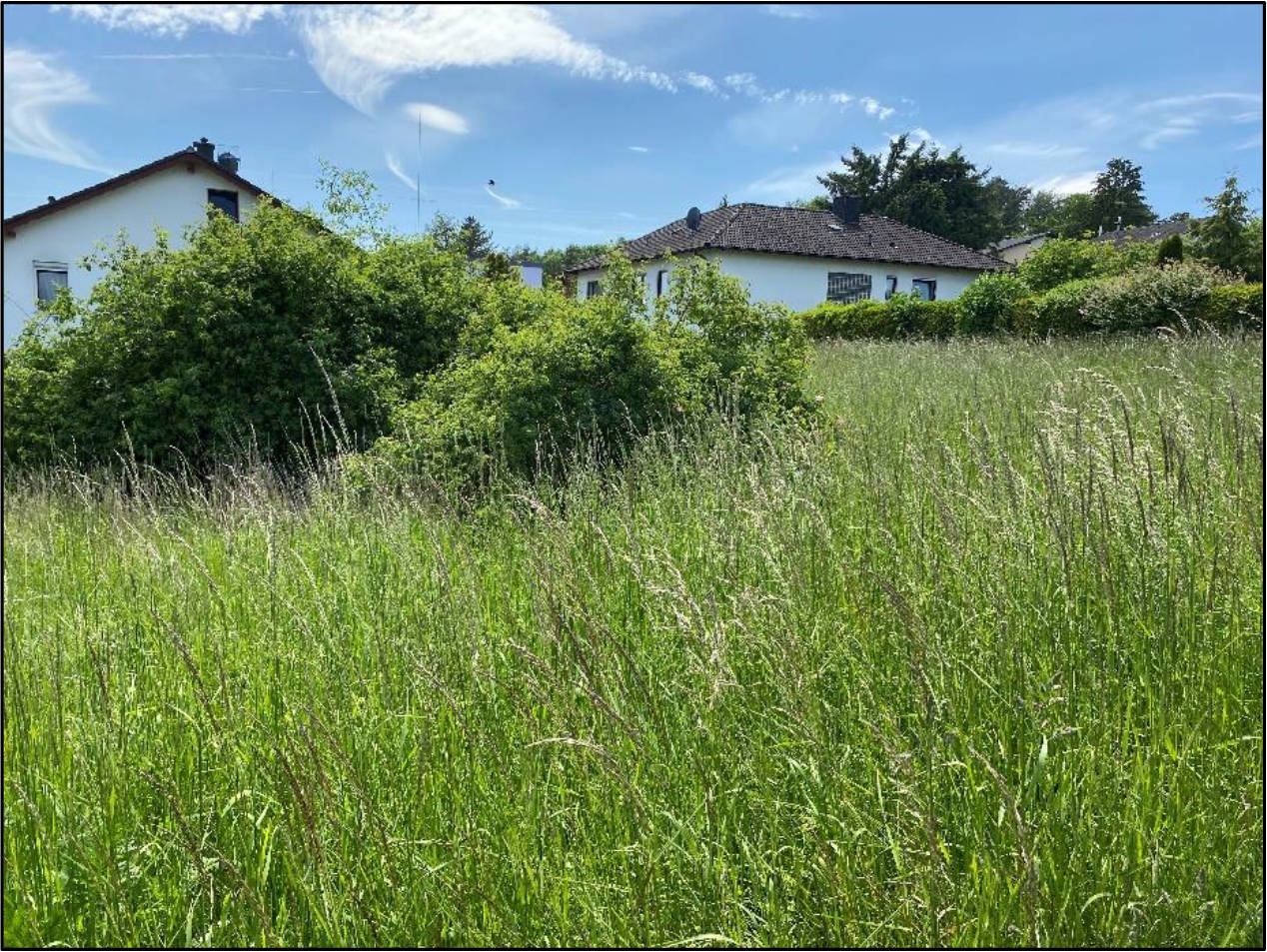 unbebautes Grundstück in Im Ährenfeld 6, 34537 Bad Wildungen, Odershausen