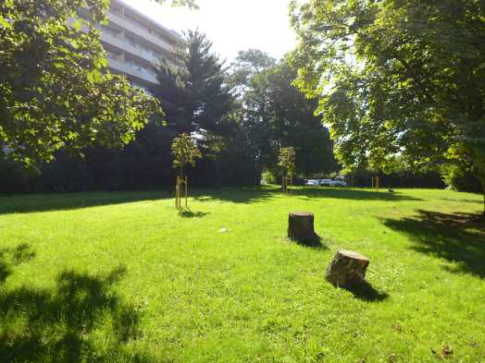 hessen 0007 K 0002/2023 Dreieichstraße 1-5; Talstraße 5-9, 63128 Dietzenbach 11