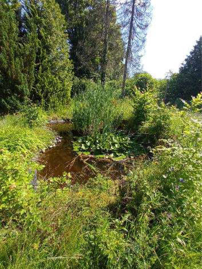 hessen 0007 K 0003/2024 Tannenweg 10, 63679 Schotten, Eichelsachsen 25