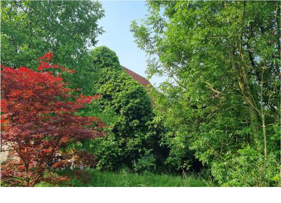 hessen 0007 K 0034/2024 Höhenblick 6, 63679 Schotten, Einartshausen 25