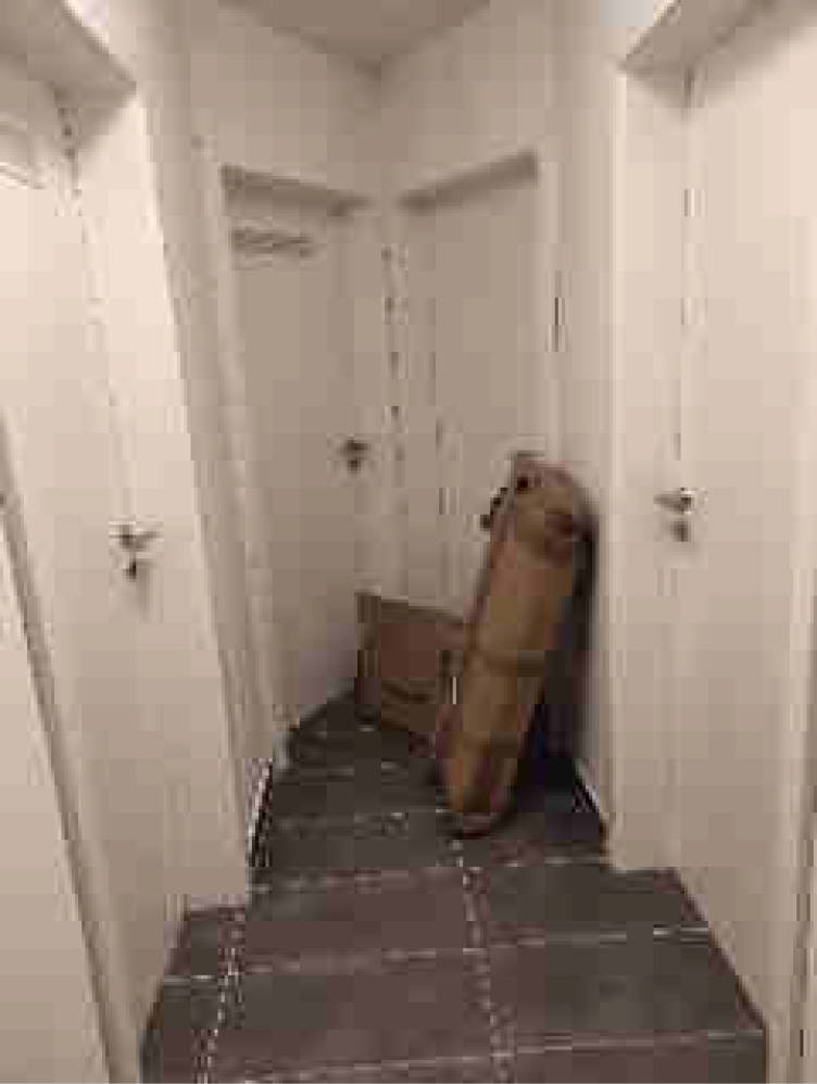 hessen 0007 K 0054/2022 Ahornstraße 48, 48a, 63071 Offenbach am Main 20