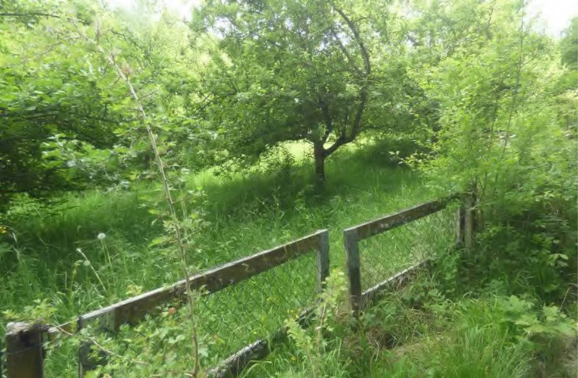 hessen 0008 K 0008/2025 Rutschstraße 20, 35685 Dillenburg, Donsbach 25