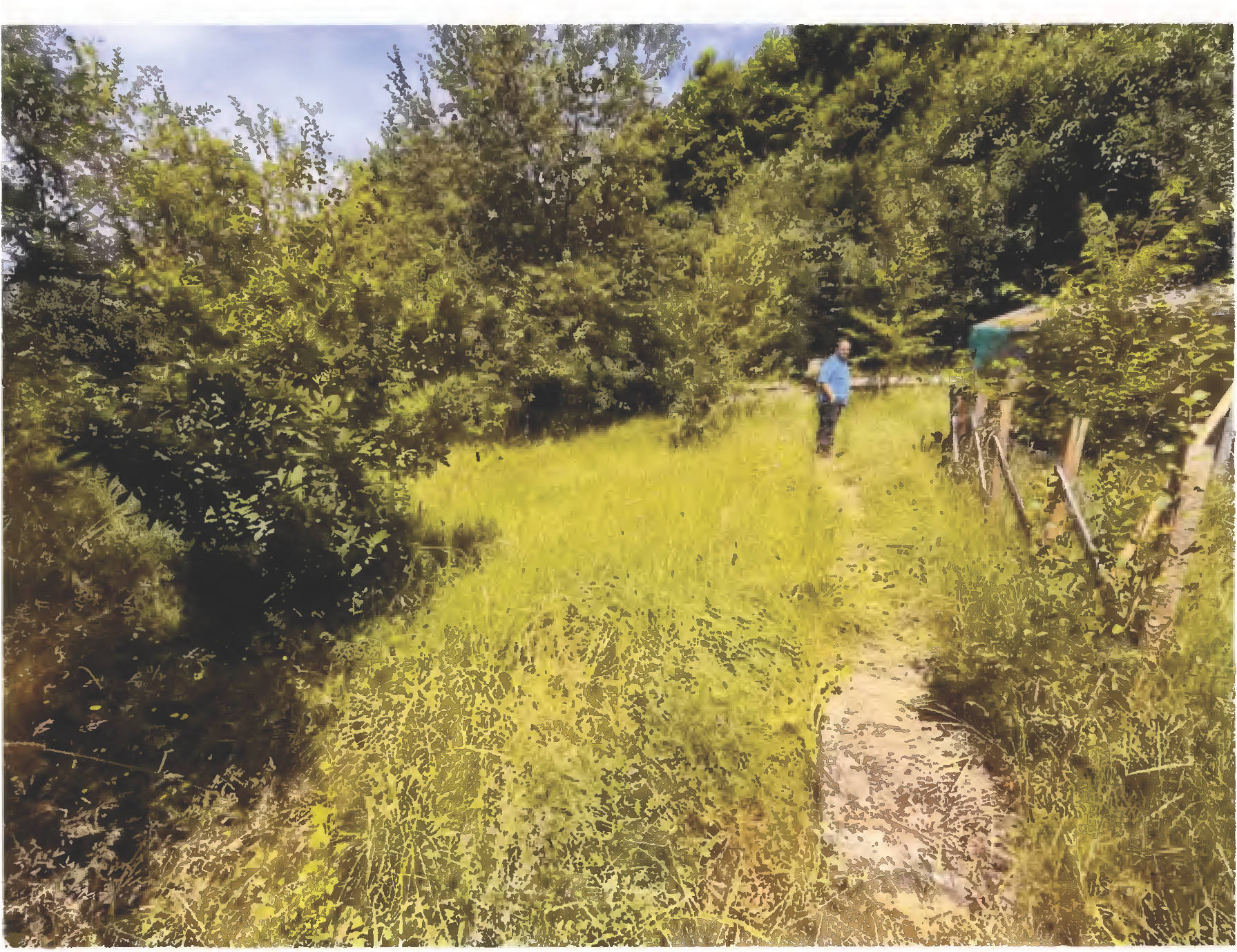 hessen 0008 K 0018/2024 Hüttenstraße 71/73, 35708 Haiger 15