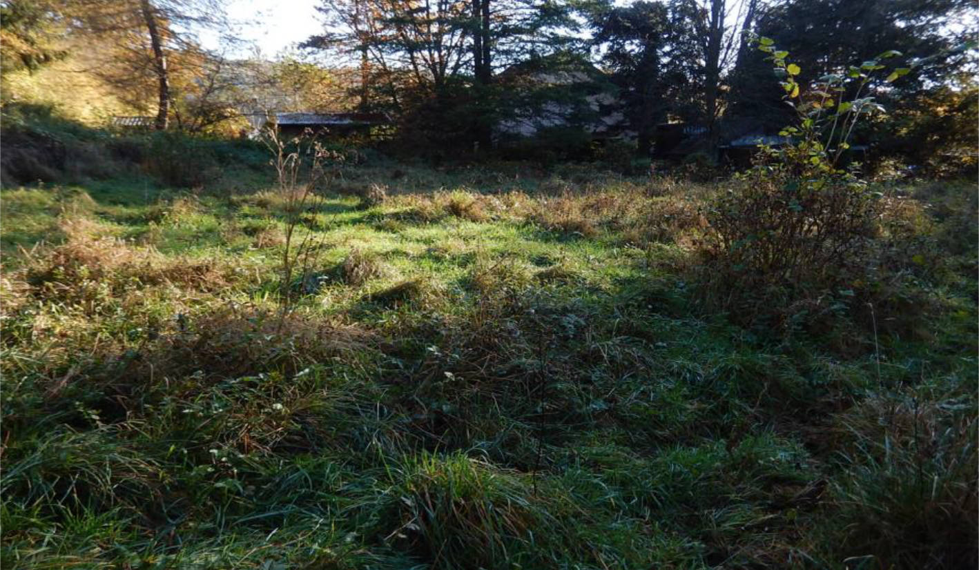 land- und forstwirtschaftlich genutztes Grundstück in Oben auf dem Kalteborn u. a., 00000 Haiger, Oberroßbach - Bild 2