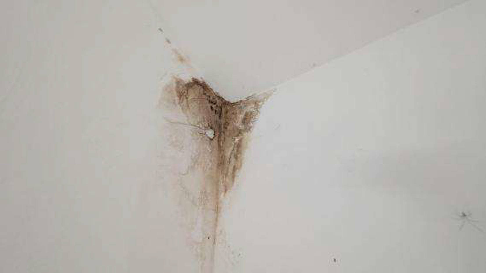 hessen 0008 K 0033/2024 Biedenkopfer Straße 39, 35713 Eschenburg, Simmersbach 16