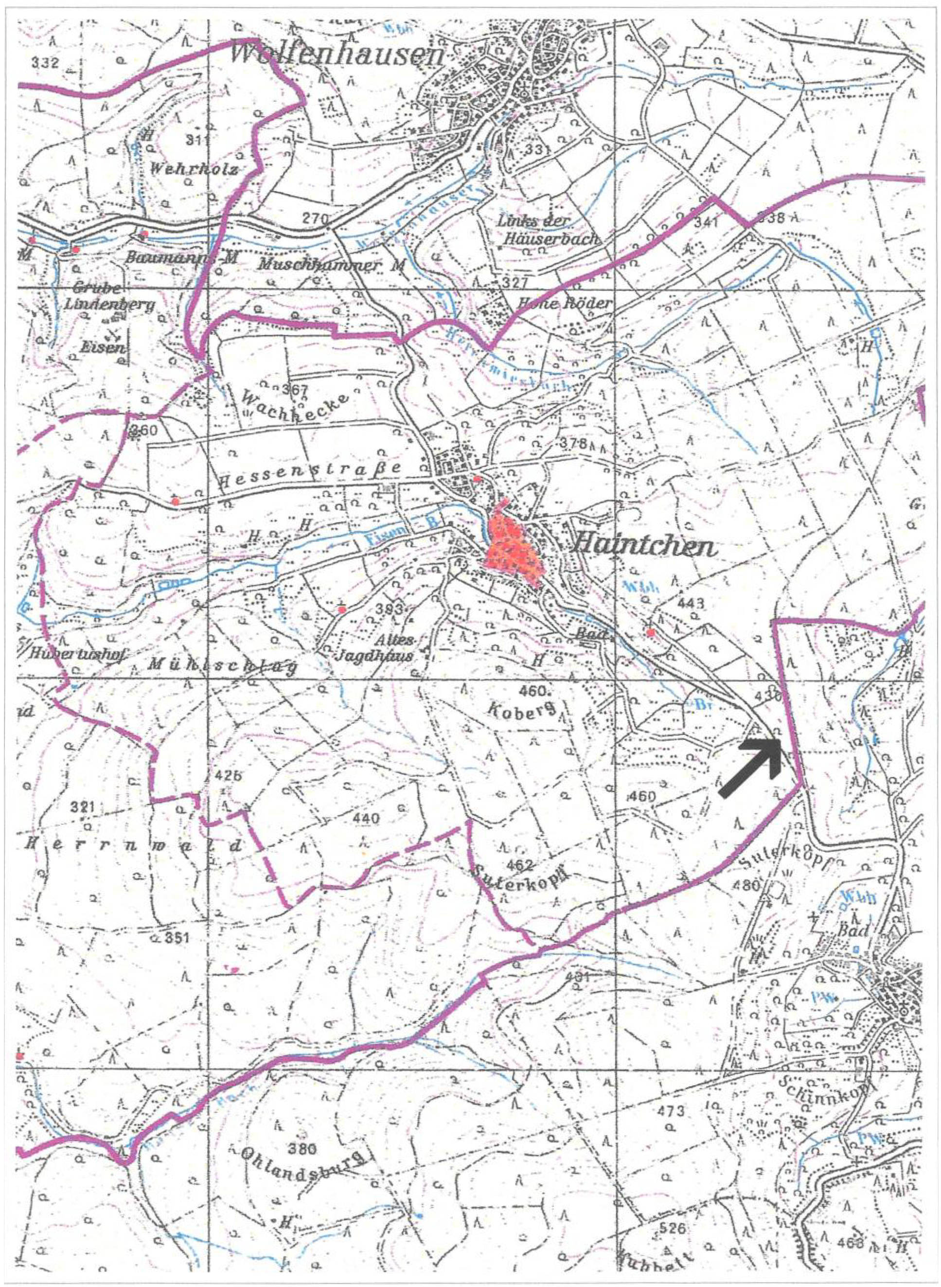 land- und forstwirtschaftlich genutztes Grundstück in Ackerland vor dem Blumenstück, 65618 Selters, Haintchen - Bild 3