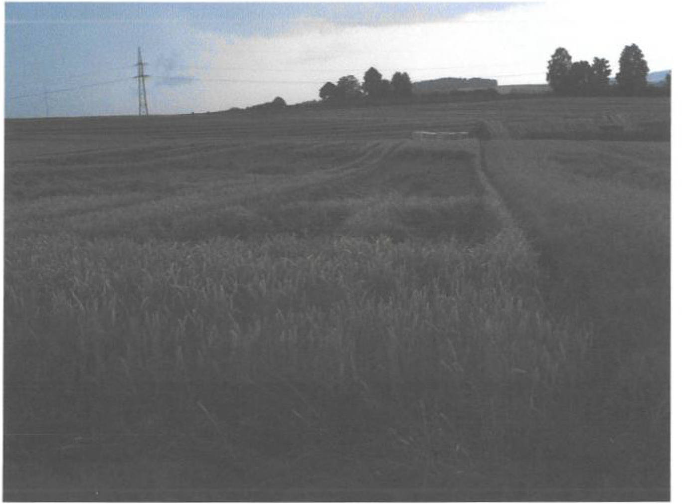 hessen 0010K0004-2024 Links dem Oresweg, 65611 Brechen, Niederbrechen