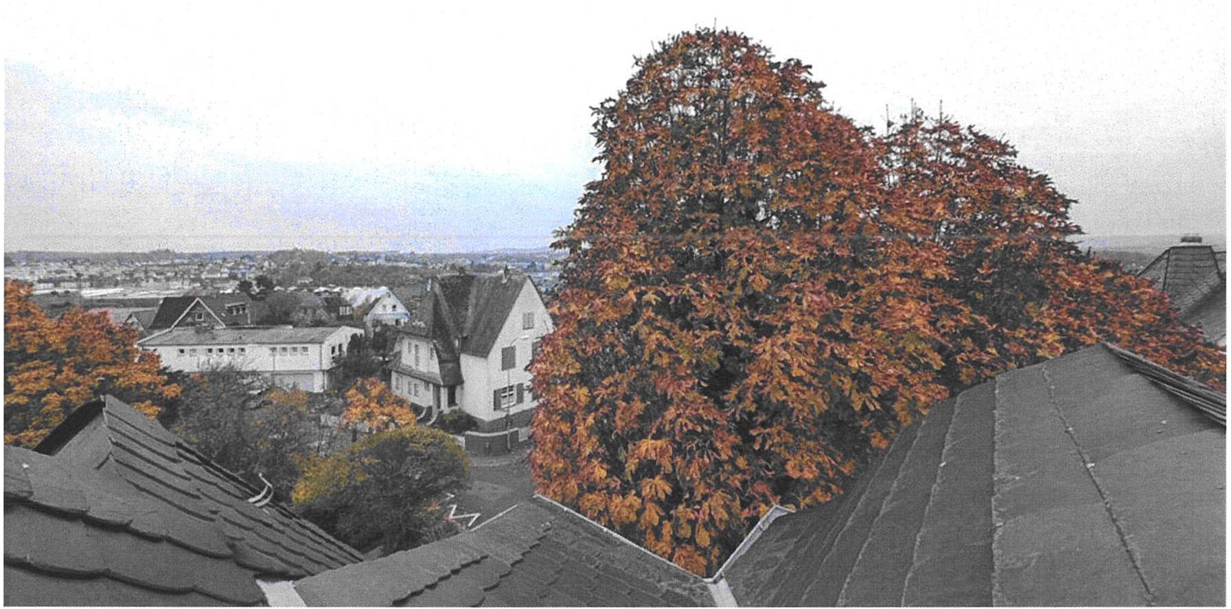 hessen 0010 K 0035/2023 Annastraße 15, 65549 Limburg 6