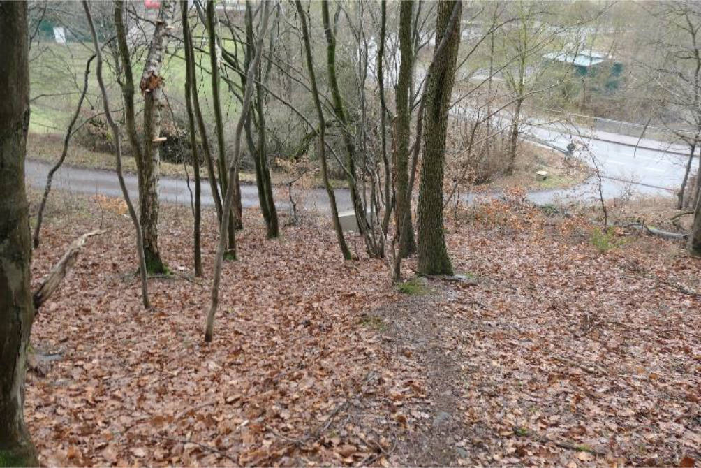 unbebautes Grundstück, Erholungsfläche in An der Florenbicke, 34519 Diemelsee, Heringhausen - Bild 4
