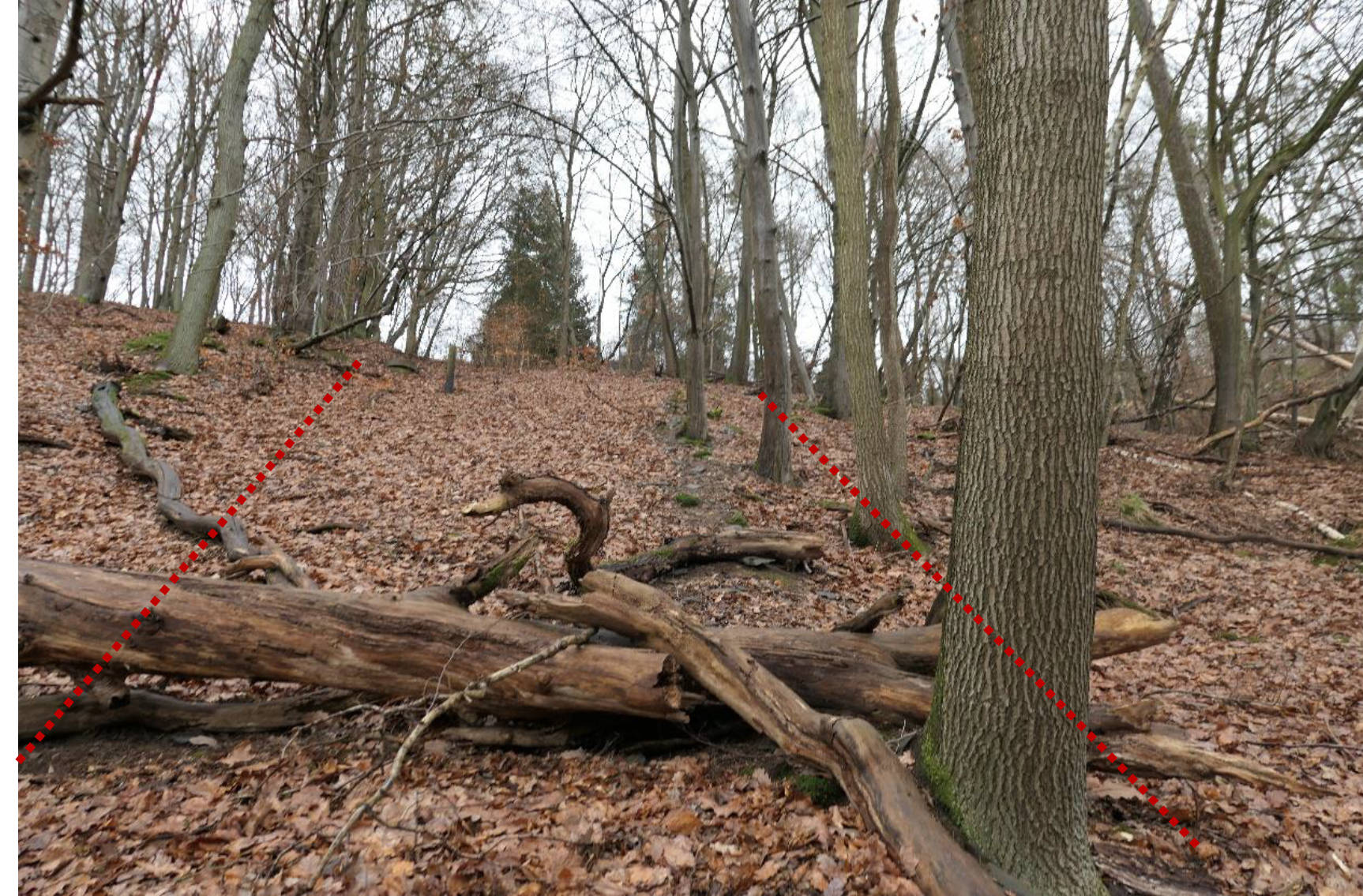 unbebautes Grundstück, Erholungsfläche in An der Florenbicke, 34519 Diemelsee, Heringhausen