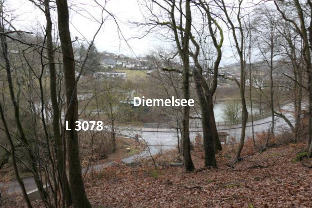 unbebautes Grundstück, Erholungsfläche in An der Florenbicke, 34519 Diemelsee, Heringhausen - Bild 3