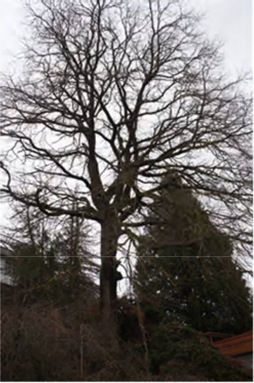 hessen 0011 K 0019/2022 Oberwarolder Straße  4, 34477 Twistetal 11