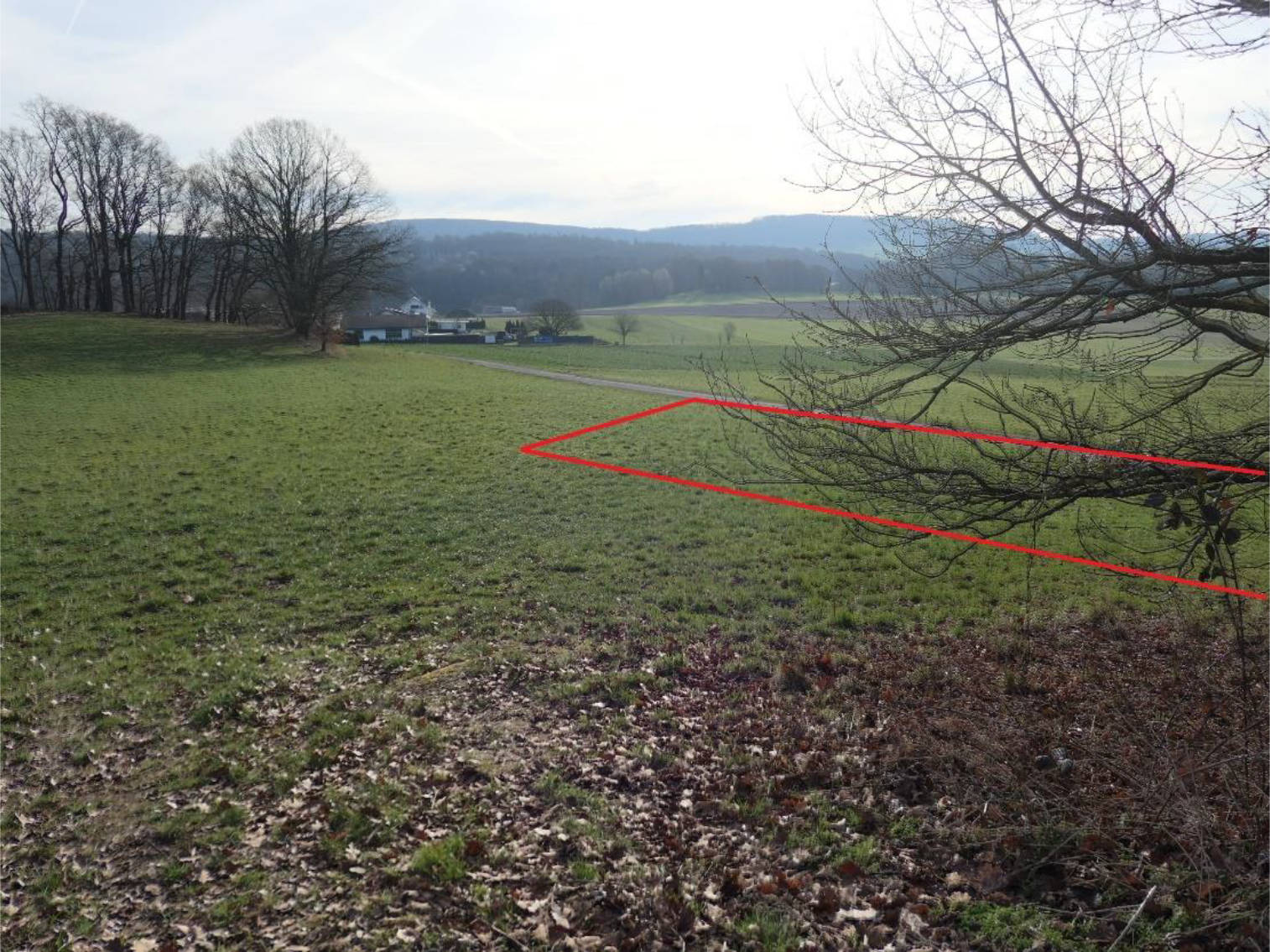 hessen 0011K0020-2022 Am Knappe, 34474 Diemelstadt, Wrexen
